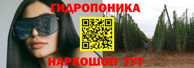 spice Бузулук